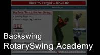 Clinic - The Backswing