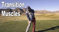 Which Muscles to Feel During Golf Swing Transition