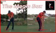 The Magic Box - How to Check Your Lower Body in the Transition
