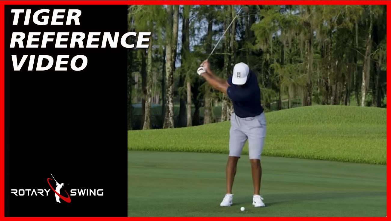 Tiger Woods 80 yd Face On Reference Video