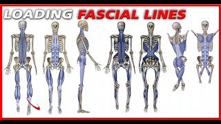 Webinar 4 - Fascia & Effortless Power